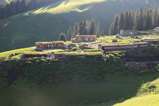 山坡民居