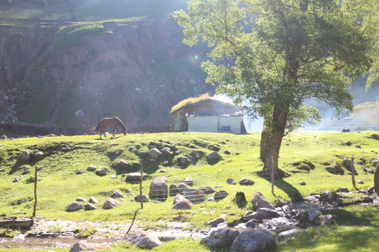 山坡民居