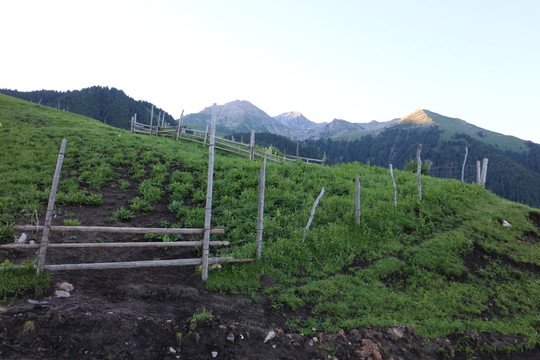 山坡木柵欄