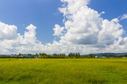 草原和天空
