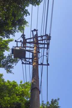 電線桿
