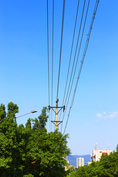 電線桿