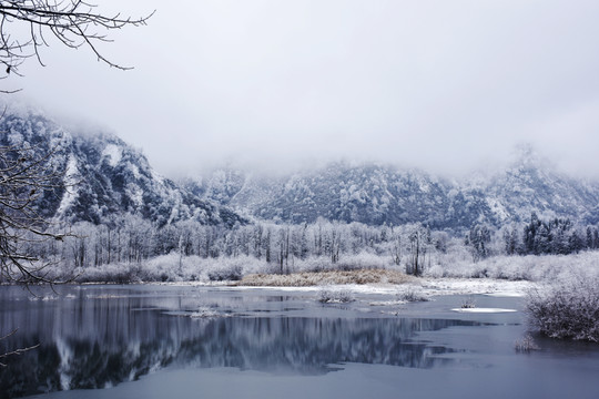 龍池雪景