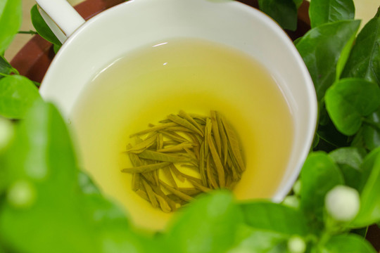 濃香茉莉花茶