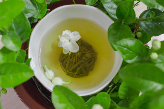 濃香茉莉花茶