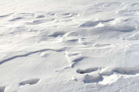 雪的紋理