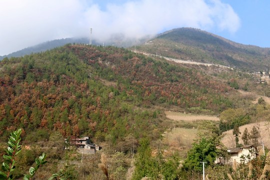 三峽風景