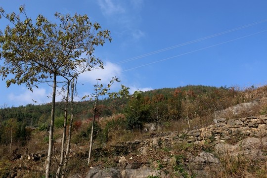 三峽風景