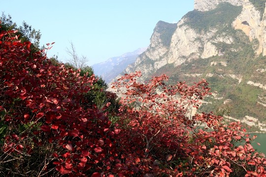 三峽風(fēng)景