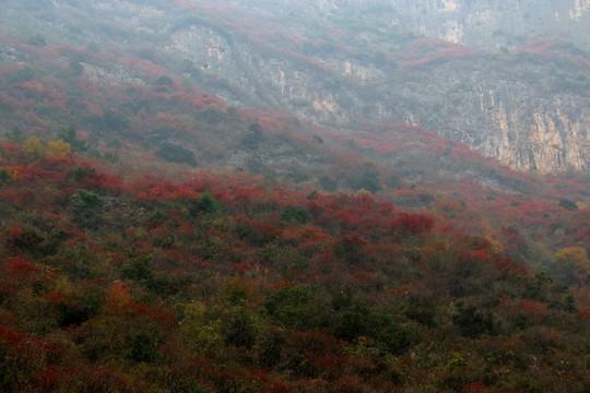 三峽風景