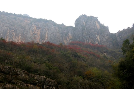 三峽風(fēng)景