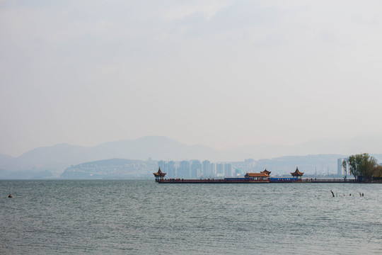 飛翔中的白色海鷗