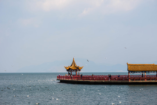 洱海海風(fēng)