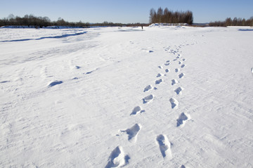 冰河雪地