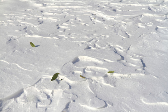 雪的紋理