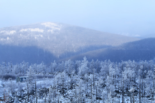 林海雪原