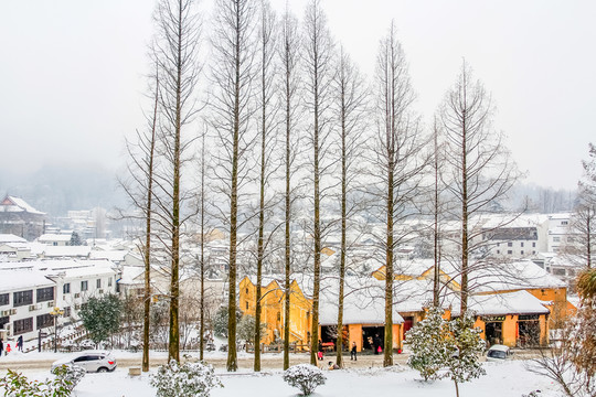 九華山雪景