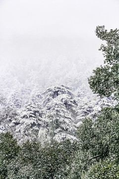 九華山雪景