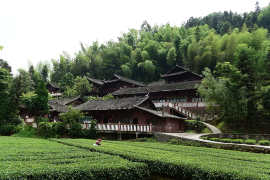 土家族吊腳樓群