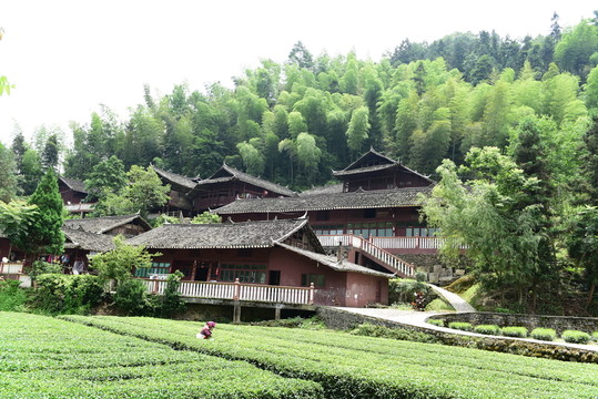 土家族吊腳樓群