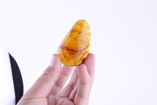 陳萬福琥珀