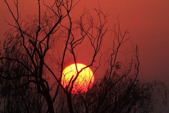 夕陽