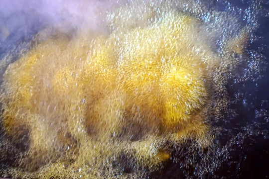 油鍋 沸油