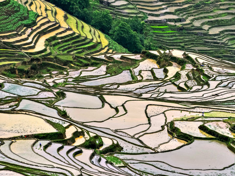 元陽梯田 梯田風(fēng)景