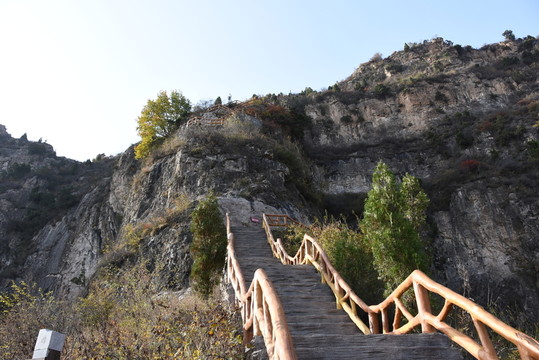 登山道