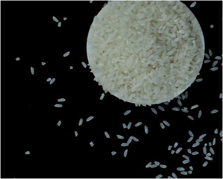 大米 貢米 桓仁特產(chǎn)