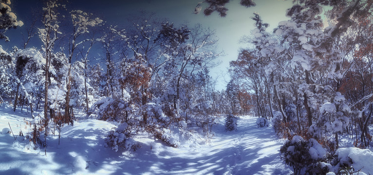 雪景