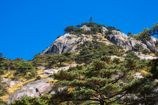 黃山