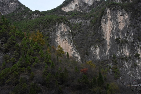高山