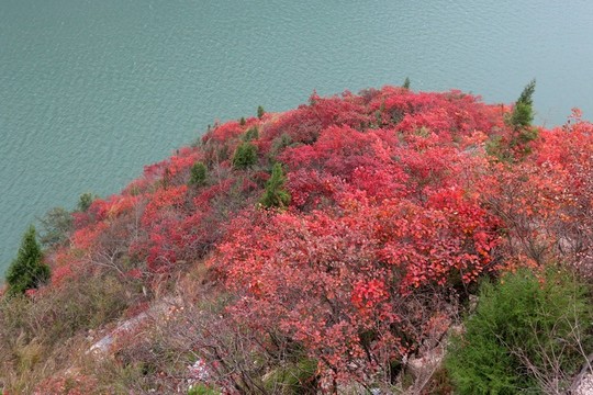 三峽風(fēng)景