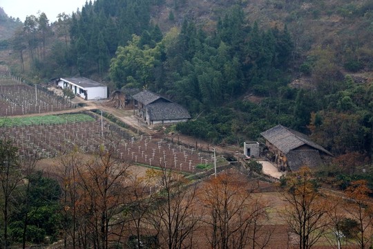 三峽風(fēng)景