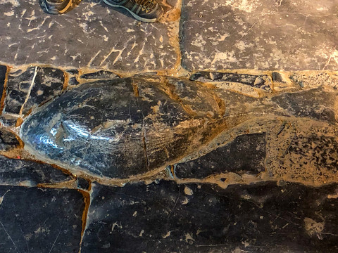 黃姚古鎮(zhèn) 鯉魚石