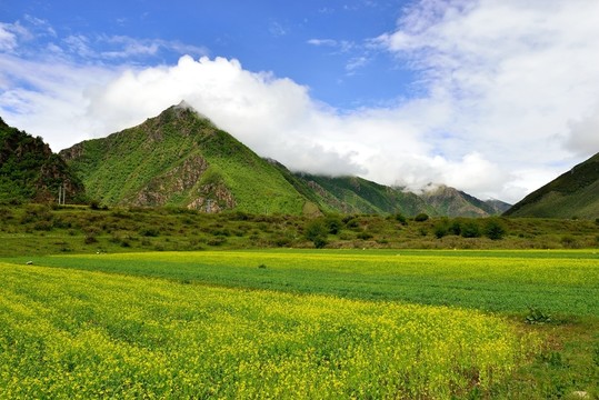 西藏田園風(fēng)光