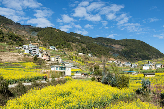 美麗鄉(xiāng)村