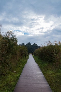 公園小道