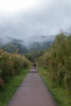 小路