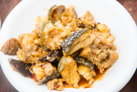 鱷魚(yú)肉