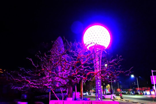 燈火夜色