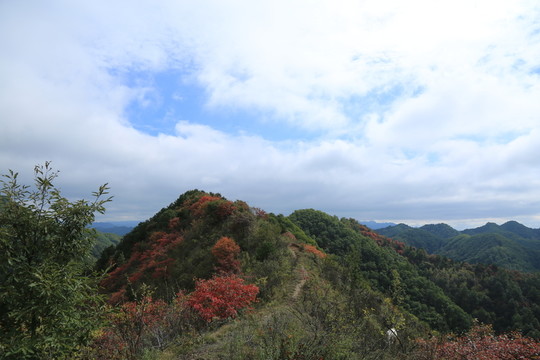 紅葉