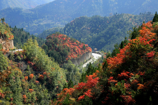 紅葉