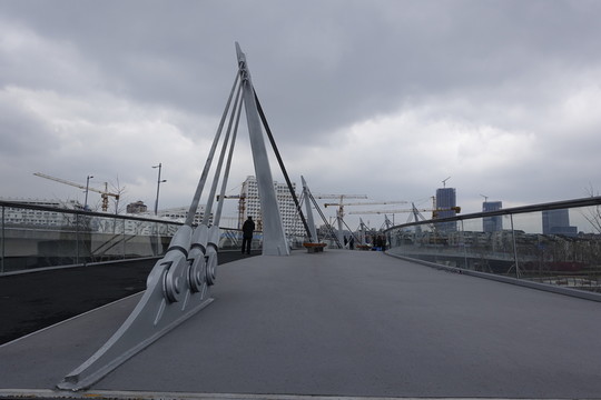 張家塘港橋