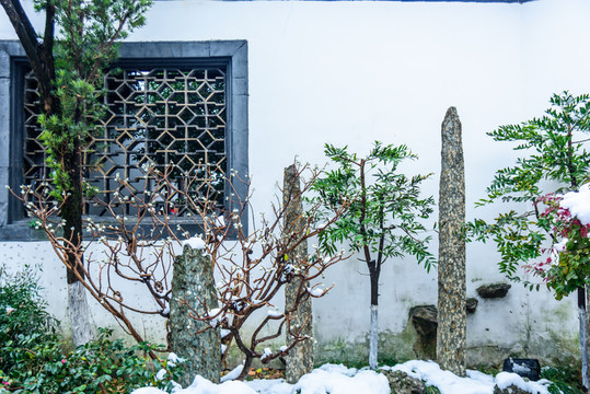 南京總統(tǒng)府雪景