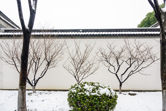 南京總統(tǒng)府雪景