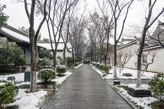 南京總統(tǒng)府雪景