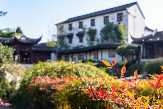 瞻園園林景觀