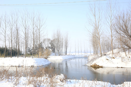 雪中河流